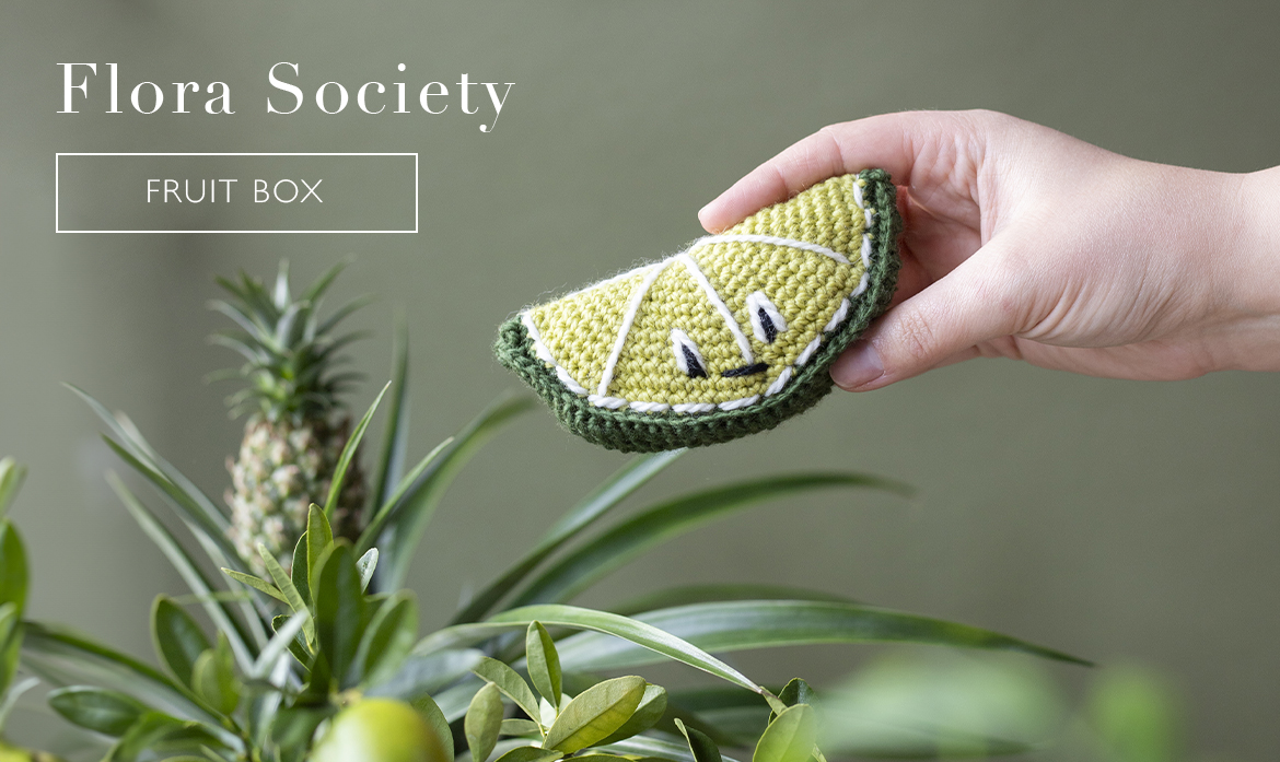 fruit box toft crochet lime exclusive limited flora society